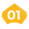 01-yellow-crown-leaf